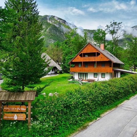 Sobe In Apartmaji Pri Ukcu Bohinj Ngoại thất bức ảnh